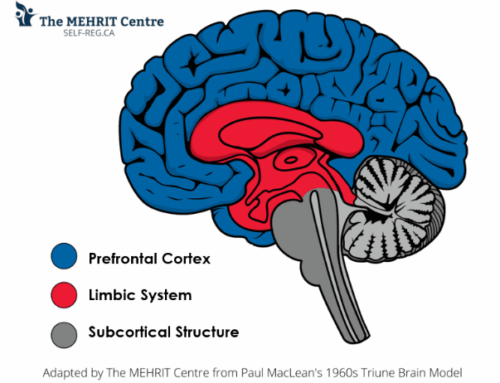 The Art and Science of Simplifying Our Neurobiology [2025-03]
